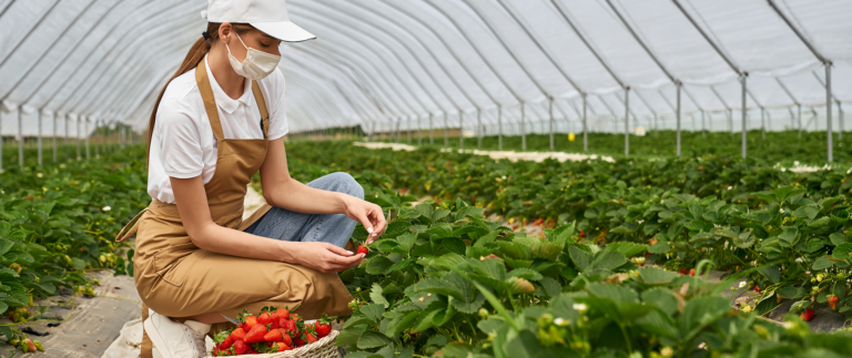Harvest Happiness – Eat Fresh, Live Better
