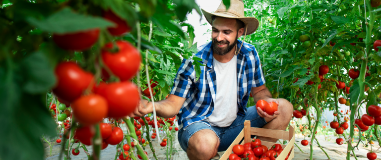 Season’s Best – Fresh, Juicy & Nutritious